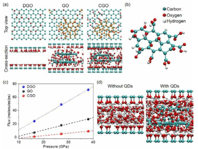 DGO, GO, CGO 산화그래핀 나노채널에서 모사된 물 분자의 시뮬레이션. (A) 분자동역학 시뮬레이션에 사용된 DGO, GO, CGO 시스템의 스냅샷. (B) 시뮬레이션 시스템에 사용된 QD의 화학적 구조. (C) 가해진 압력에 따른 DGO, GO, CGO 나노채널에서의 물의 플럭스. (D) 물이 흐르는 나노채널 속의 QD구조 유무에 따른 스냅샷