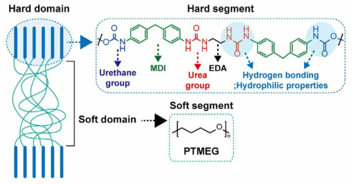 Hard domain과 soft domain으로 이루어진 Spandex 분자의 모식도