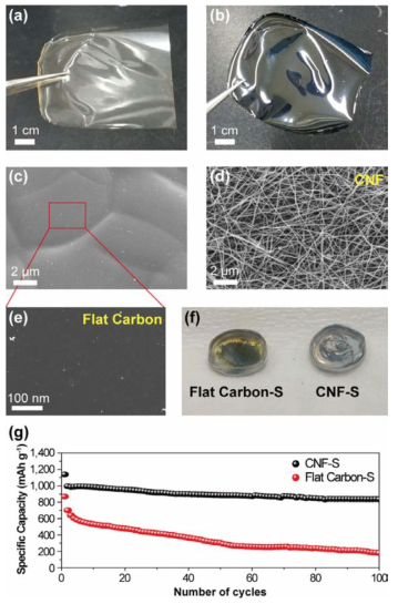 Comparison of the non-porous Flat Carbon-S and CNF-S electrodes. Images of (a) the as-casted flat PAN sheet and (b) the carbonized flat PAN sheet. SEM images of (c), (e) the Flat Carbon sheet, and (d) the CNF. (e) Photograph of disassembled coin cells of the cycled Flat Carbon-S and CNF-S cells. (g) Comparison of the cycle performance of the Flat Carbon-S and CNF-S cells at a rate of 0.1 C