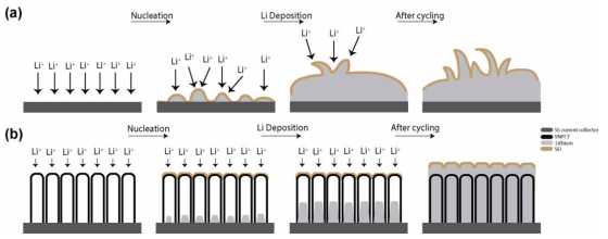 A schematic illustration of deposition behavior of (a) untreated lithium metal, and (b) lithium metal deposited in aligned carbon nanotubes