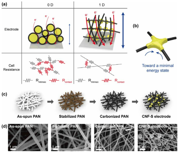 Schematic of (a) the electron paths in 0D and 1D electrodes and their cell resistance. (b) Schematic of the deposition of sulfur species during the electrochemical reaction via the cohesive force of viscous polysulfides. (c) Fabrication of the CNF-S electrode using electrospun PAN, and (d) the corresponding SEM images of each product