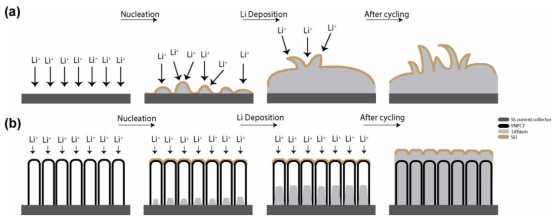 A schematic illustration of deposition behavior of (a) untreated lithium metal, and (b) lithium metal deposited in aligned carbon nanotubes