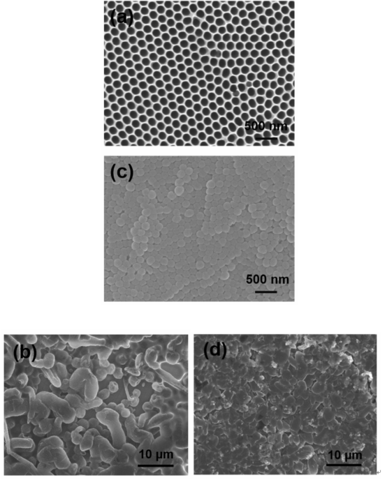 The SEM images of (a) carbon coated by CVD on pore-widened AAO template, (c) aligned carbon nanotubes of alumina-removed (a) sample, (b) cycled Li metal on stainless steel substrate, and (d) cycled Li metal on aligned carbon nanotues