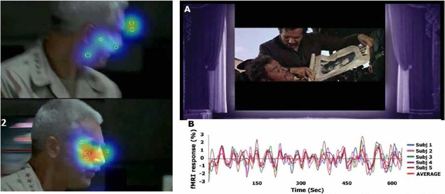 (왼쪽) Hulk의 일련의 장면과 디지털 인서트를 보는 8 명의 참가자의 시선 히트 맵. Smith. Tim J. (2015). (오른쪽) fmri로 기록 된 영화감상 시 뇌 실험참가자간의 뇌 활동의 유사성. Hasson, Uri, et al. (2008)
