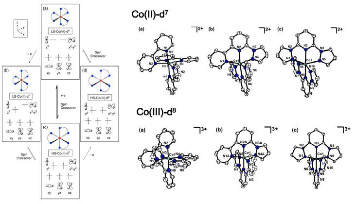 (왼쪽) Co2+/Co3+의 스핀-크로스오버를 설명한 d 오비탈 그림. (오른쪽) X-ray 단일 결정의 Co2+ 및Co3+의 cobalt-polypyridyl complex