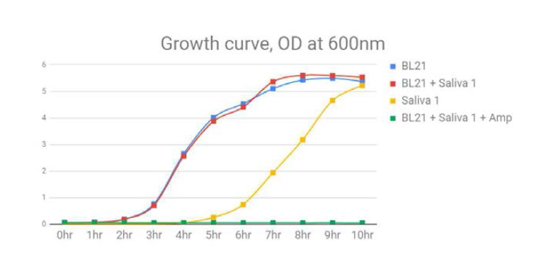 타액 오염이 박테리아(BL21) 배양에 미치는 영향 Blue:only BL21; Red:BL21+Saliva(0.33U/mL); Yellow:only Saliva(0.33U/mL);Green:BL21+Saliva(0.33U/mL)+Amplicilin(100ug/L)