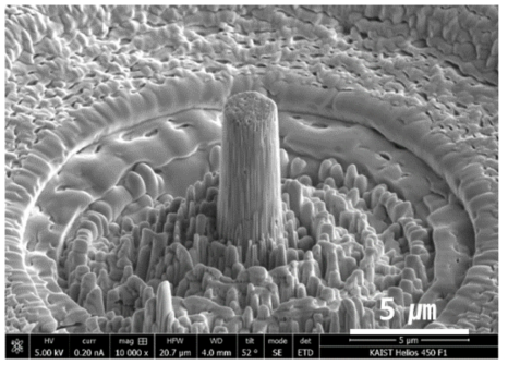 Micro pillar for compression test