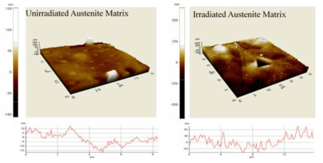 AFM data of ADSS#B32 surface of unirradiated & irradiated Austenite by proton 200 keV 2×1017 ions/cm2 Roughness was increased about 5 nm to 50 nm