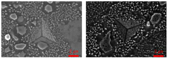 SEM image of ferrite matrix indentation test. NiAl precipitates were more deformed after irradiation