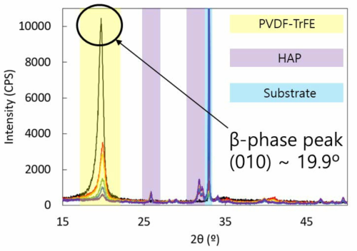 The XRD signal from HAp and P(VDF-TrFE) composites