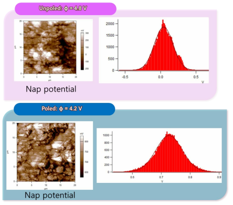 Polarization is confirmed by the change in surface potential from (a) the unpoled surface and (b) the poled surface. The polarization is positive, but the surface potential decreased due to screening charges