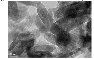 TEM images of HAp particles