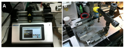 (A) 주입 펌프와 Hamilton syringe. (B) Stereotaxic frame 세팅