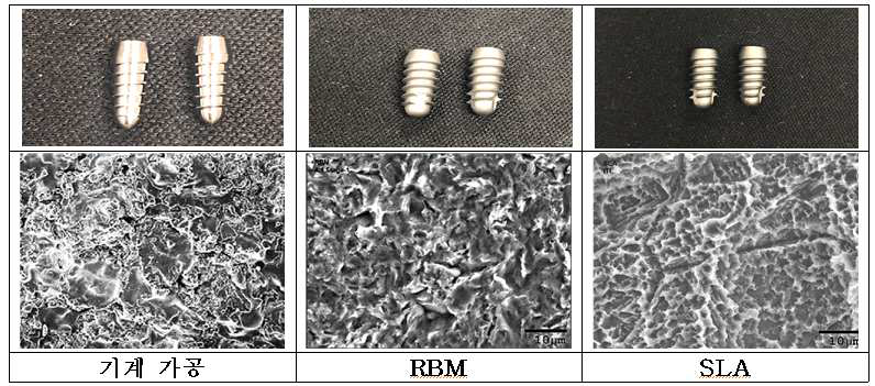 Ti-alloy implant 표면처리 종류에 따른 미세구조 비교