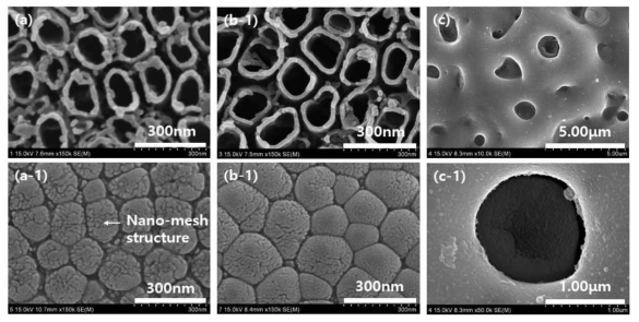 나노튜브 형성 및 나노튜브 형성 후 PEO 처리에 대한 FE-SEM 이미지, (a,a-1) 1st nanotube, (b, b-1) 3rd nanotube, (c, c-1) 3rd nanotube+(5 ions)PEO