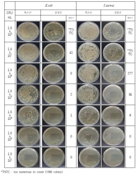 플라즈마 살균장치를 이용한 살균실험 - E.coli & S.aureus