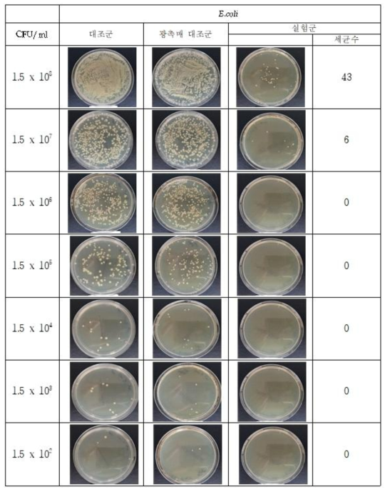 E.coli 균에 플라즈마에 광촉매제(TiO2)를 추가한 살균장치의 살균 시험한 대조군, 광촉매 대조군과 실험군 사진