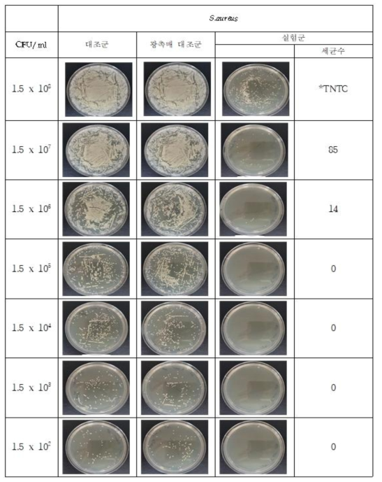 S.aureus 균에 플라즈마에 광촉매제(TiO2)를 추가한 살균장치의 살균 시험한 대조군, 광촉매 대조군과 실험군 사진 *TNTC : too numerous to count : 너무 많아 셀수 없음 (300 colony 이상)