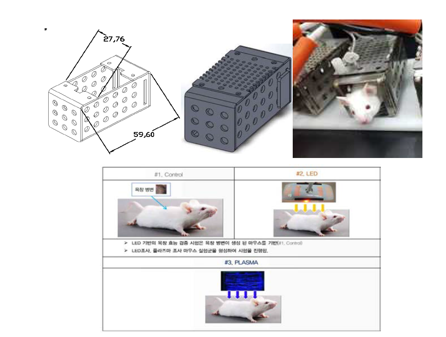 동물실험장치 및 실제 동물 Test 적용 가이드