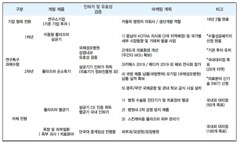 연차별 사업화 계획