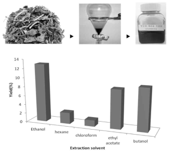 영릉향 추출 및 추출 용매에 따른 수율 비교