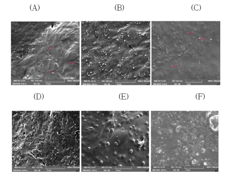 나노입자의 SEM 사진 (A) 2% TM, (B) 2% GMS, (C) 2% SA, (D) 5% TM, (E) 5% GMS, (F) 5% SA