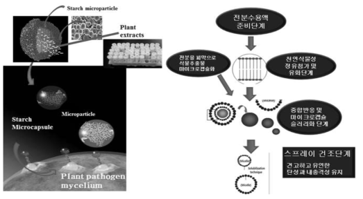 식물추출물의 벼 도열병균(fungi) 침투를 위한 나노제형(Nanopackaging)