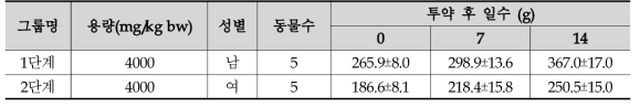 평균 체중