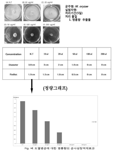 영릉향 최소성장억제농도(MIC) 확인 실험