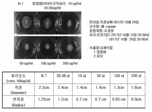 M. oryzae에 대한 영릉향 (EtOH추출물)과 지모 (EtOH추출물)의 성장억제효과