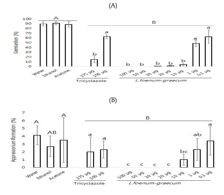 영릉향추출물의 포자발아억제효과 (A)와 부착기형성억제효과 (B)
