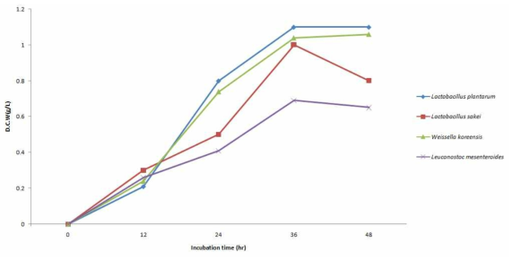 시간별에 따른 유산균의 cell growth