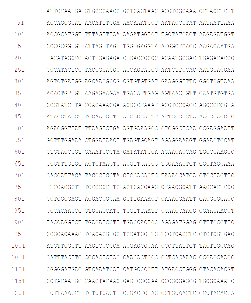 Weissella koreensis 16S rRNA sequence