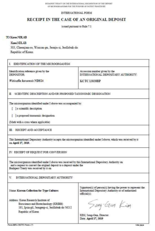 Weissella koreensis ND824 균주 국제 특허 기탁증