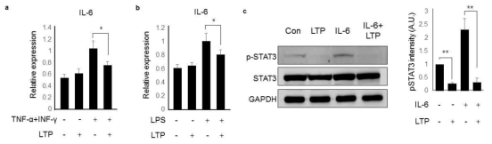 액상 플라즈마의 처리에 의한 활성화된 표피세포에서 건선관련 사이토카인의 발현 및 STAT3 활성 억제