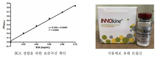 BCA 정량과 동결건조