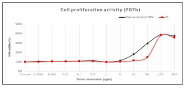 재조합 FGFb의 세포 증식능 활성 확인