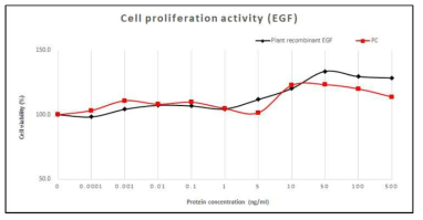 재조합 EGF의 세포 증식능 활성 확인