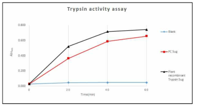 재조합 Trypsin의 효소 활성 확인