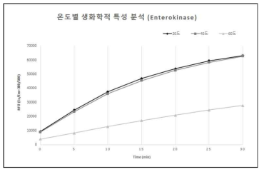 재조합 Enterokinase의 온도별 효소 활성