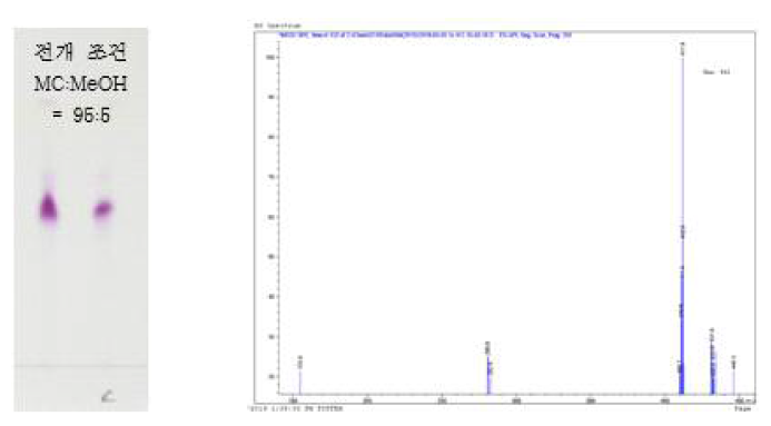 커큐민 유도체 화합물 3의 정제 TLC 및 LC-MS 결과
