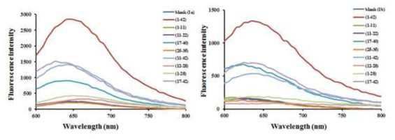 9종 Aβ fragment의 형광 특성 분석