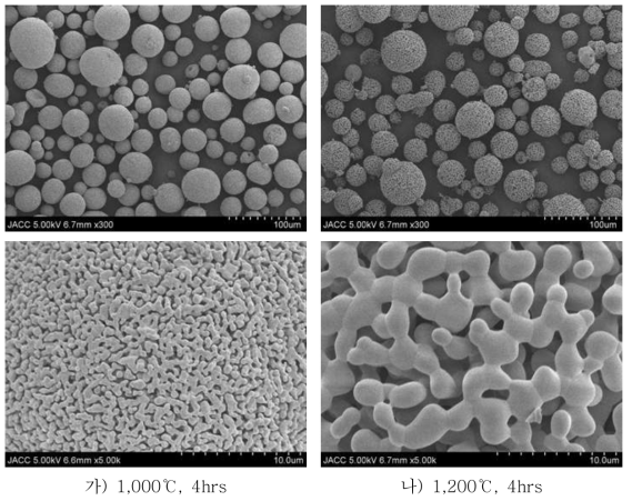 소결온도에 따른 B사 YOF 과립 분말의 전자현미경 사진