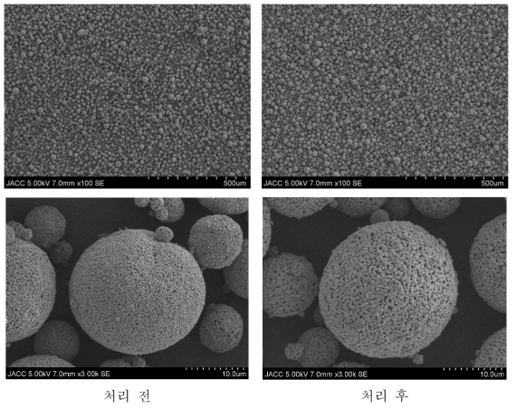 플라즈마 처리 전,후 전자현미경 사진