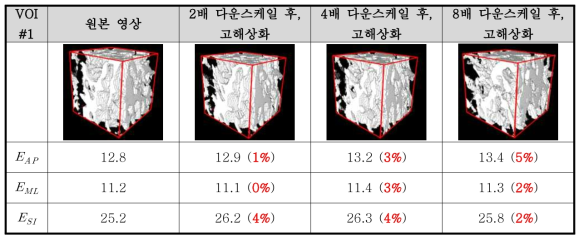 골격계 영상 고해상화 모듈의 검증 결과 (겉보기 탄성계수)