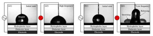 교류 전기습윤 구동에 의한 액적의 형상 변화: (a) 고주파수 전압 인가 시; (b) 저주파수 전압 인가 시