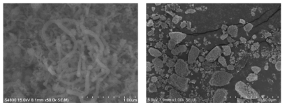 SiOx 후처리공정 SEM이미지(左원입자 50k 배율, 右후처리입자 1k 배율)