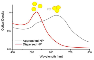 금나노입자의 응집에 의한 소멸(Extinction) 스펙트럼 변화