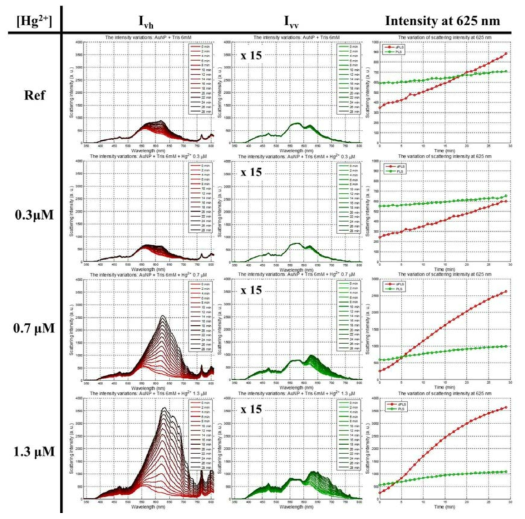 수은 이온의 농도 별 응집 시간에 따른 비편광(Ivh, dPLS)/편광(Ivv, PLS) 산란광 스펙트럼의 변화 및 625 nm 파장에서의 응집 시간에 따른 산란광 세기의 변화