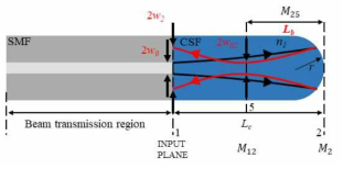 렌즈형 광섬유 구조도. Lc: length of the beam expansion region and reflected beam propagation region. Lf: working distance, Lb: working distance of the reflected beam from the LOF surface, R: radius of curvature of the lens, w0: half of the mode-field diameter (MFD) of the single-mode fiber (SMF), w01: beam waist, w02, w2: radii of the beam diameter, n1: refractive index of the CSF, n2: refractive index of air